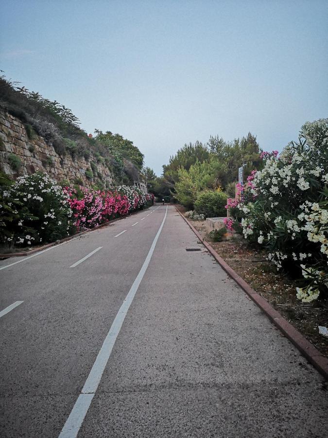 Cipressa Da Rino 아파트 외부 사진